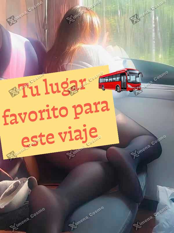Miniatura 13